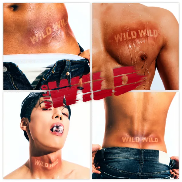 Boiler Room — WILD WILD