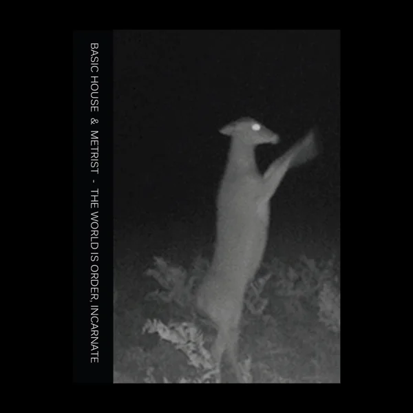 Cloaking — Basic House & Metrist