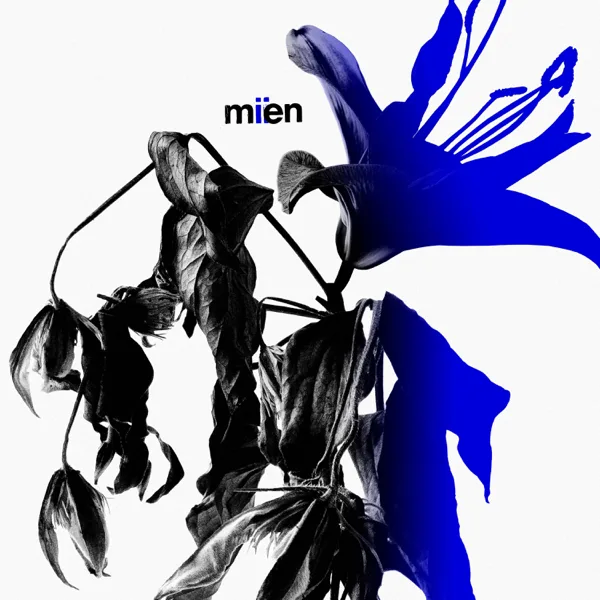 Evil People — MIEN