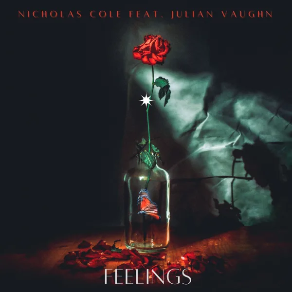Feelings (feat. Julian Vaughn) — Nicholas Cole
