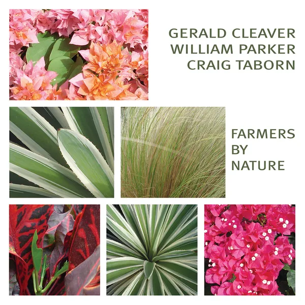 In Trees — Farmers By Nature, Gerald Cleaver, William Parker & Craig Taborn