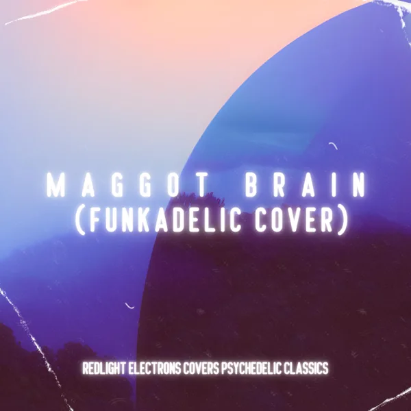 Maggot Brain (Funkadelic Cover) — Redlight Electrons
