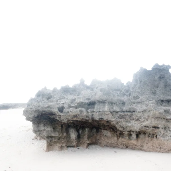 Spring Breeze — Junya Nakano
