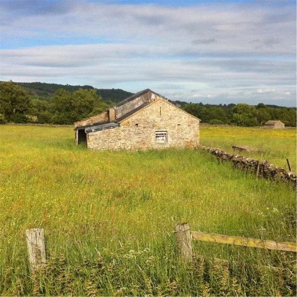 To Build a Home — Tony Dare