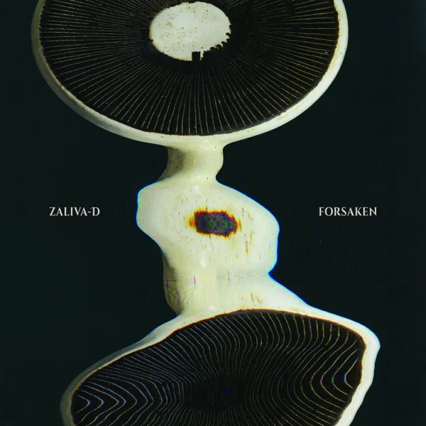 Wicked — Zaliva-D