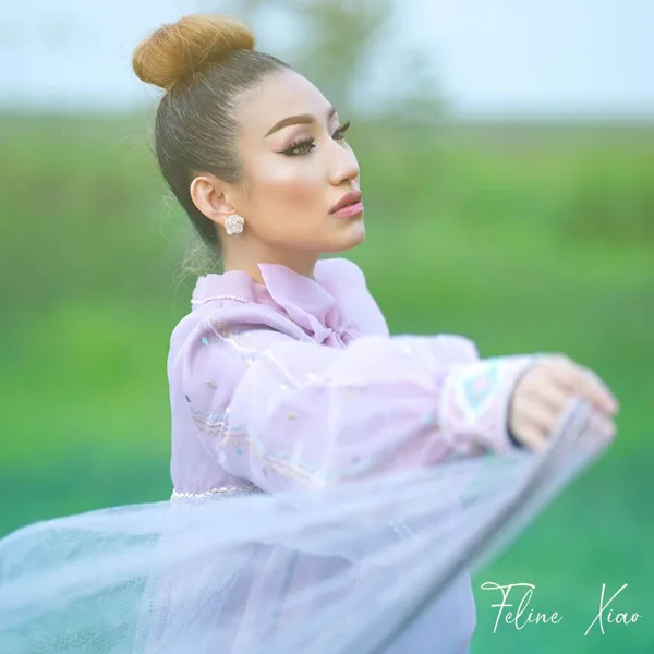 Wu Shi Nian Yi Hou — Feline Xiao